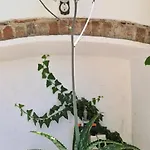 L'oasi Di Franco E Paola 3*