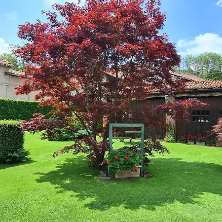 Bed & Breakfast L'oasi Di Franco E Paola San Martino Canavese