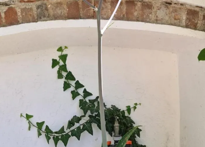 L'oasi Di Franco E Paola 3*